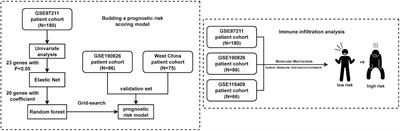 An immune-related gene prognostic prediction risk model for neoadjuvant chemoradiotherapy in rectal cancer using artificial intelligence